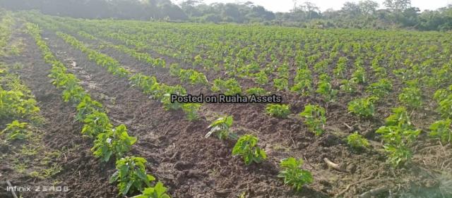 Land and Plot for Sale-Kiwangwa, Kiwangwa-Sell-Sell