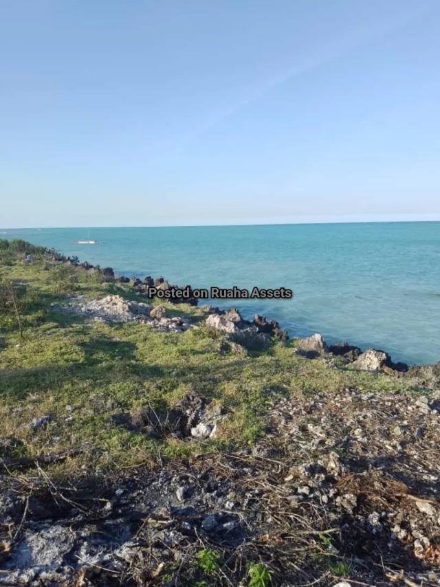 Land and Plot for Sale-Makunduchi, Zanzibar Central/South Region-Sell-Sell