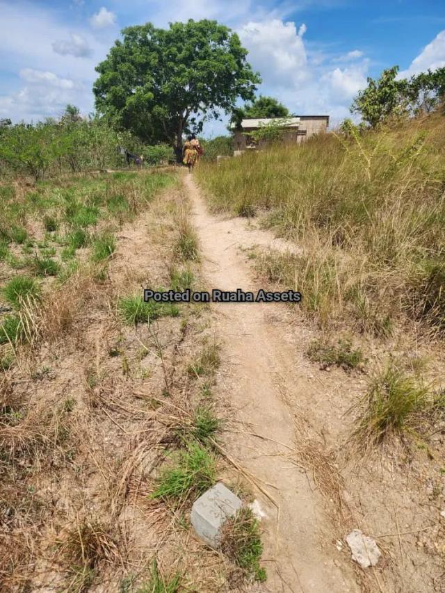 Land and Plot for Sale-Makurunge Kiluvya, Kibaha-Sell-Sell