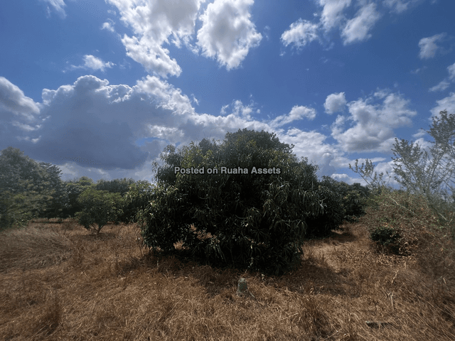 Land and Plot for Sale-Kidomole, Bagamoyo-Sell-Sell