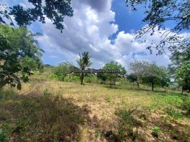 Land and Plot for Sale-Mbopo, Dar es Salaam-Sell-Sell