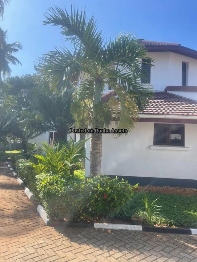 House and Apartments for Rent-Mikocheni B, Dar es Salaam-Rent-Rent