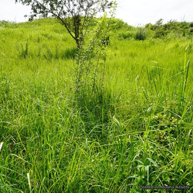 Land and Plot for Sale-Mbezi,Malambamawili secondary school, Dar es Salaam, Tanzania-Sell-Sell