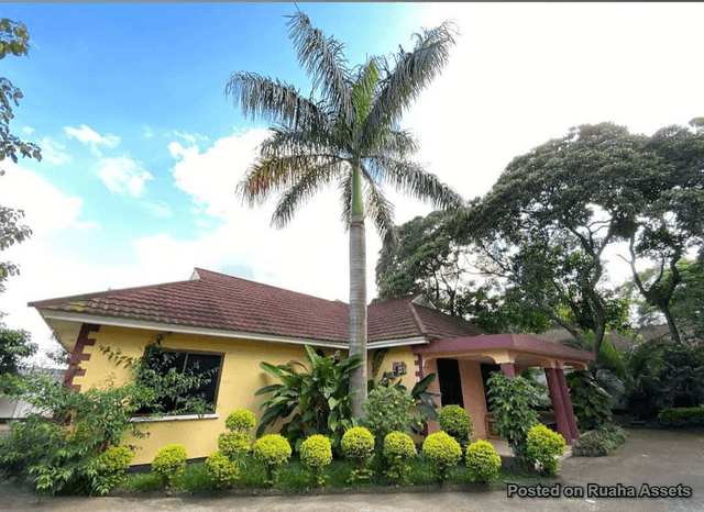 House and Apartments for Sale-Utulivu Hostel, Oloirien street, Arusha-Sell-Sell