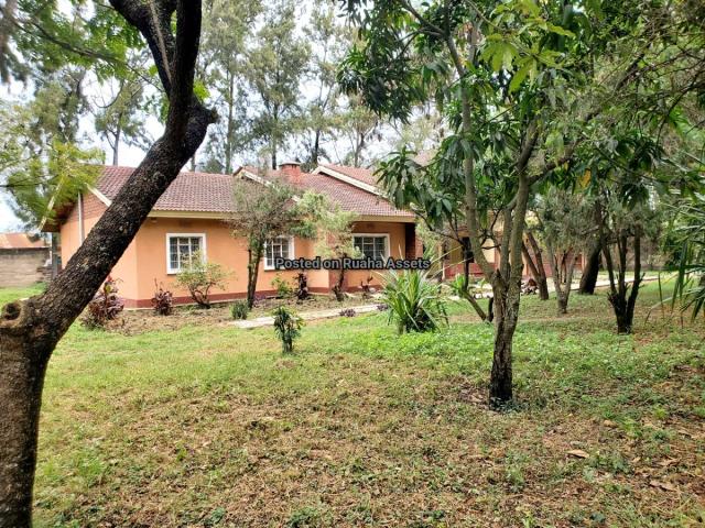 House and Apartments for Sale-Majengo Primary School, Arusha-Sell-Sell