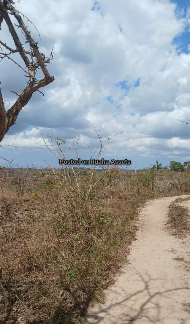 Land and Plot for Sale-Kisarawe-Sell-Sell